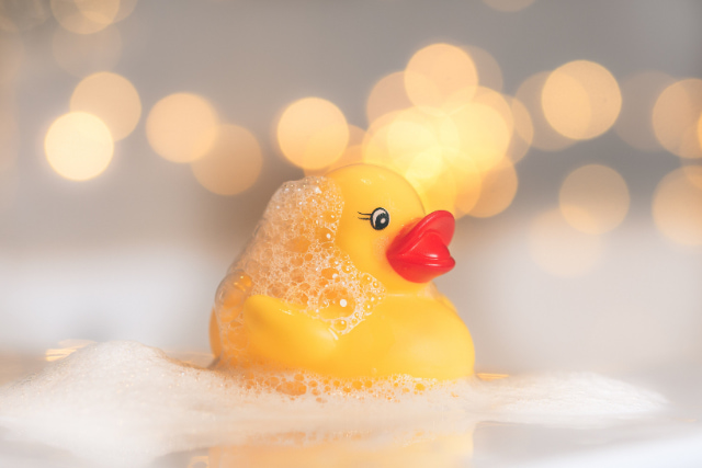 お風呂のアヒル